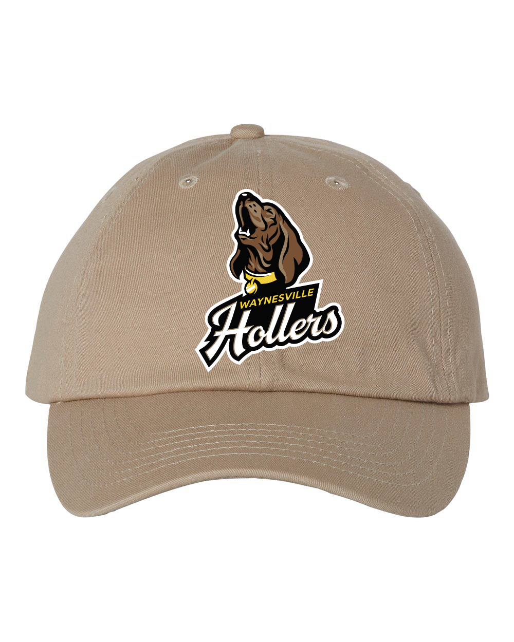 Hollers Bio-Washed Youth Small Classic Dad Hat